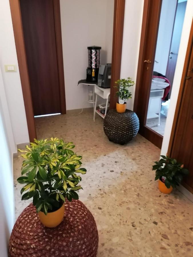 Giuseppe House Daire Pisa Dış mekan fotoğraf